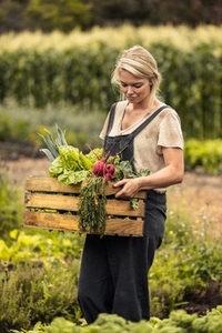 Woman harvesting on her organic vegetable farm