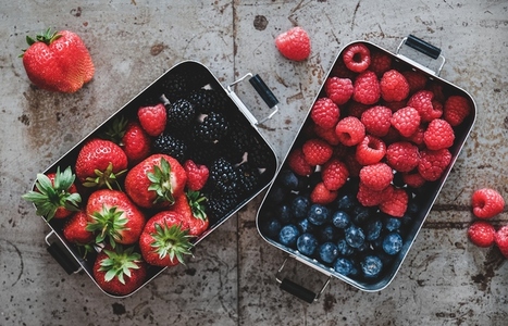Fresh seasonal berries in metal lunchboxes over grey background