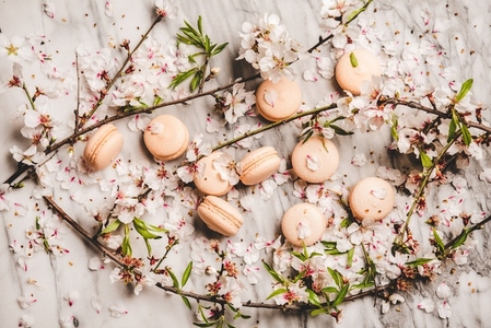 Flat lay of sweet macaron cookies and spring blossom flowers