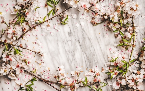 White spring blossom flowers over marble background  copy space
