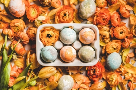 Flat lay of colorful dyed Easter eggs over orange flower petals