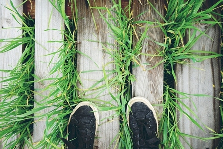 First person view of a feet over grass and wood