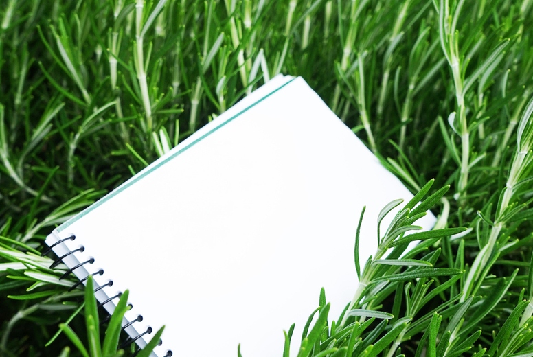 Mock up image in fresh organic texture