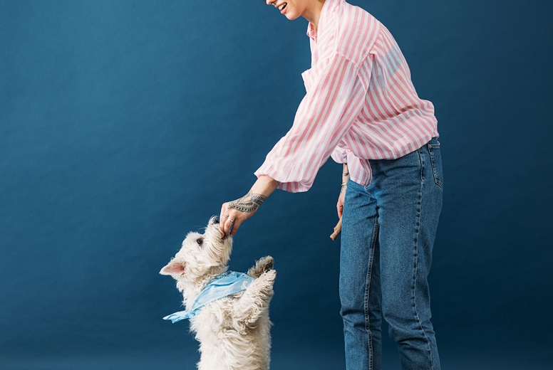 Side view of a young woman feeding her little white dog in a studio against blue background
