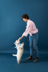 Side view of a young woman feeding her little white dog in a studio against blue background