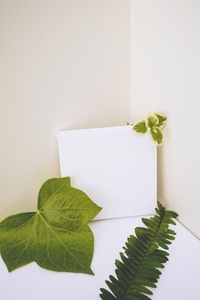 Mockup in green and neutral thones with organic leaves