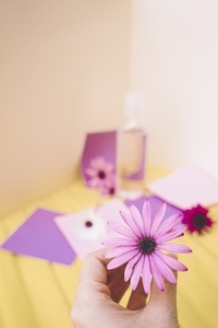 Still life of eco cosmetics with flowers in paper background des
