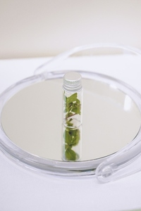 Little plant inside of a little bottle over a mirror