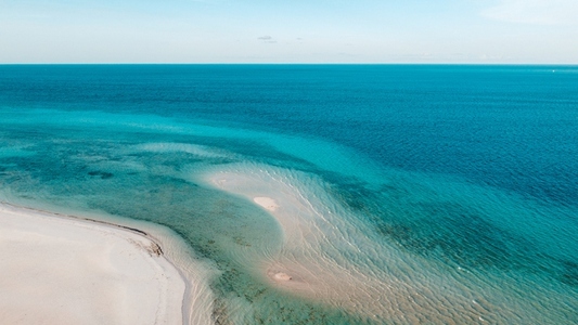Zanzibar Island  Tanzania