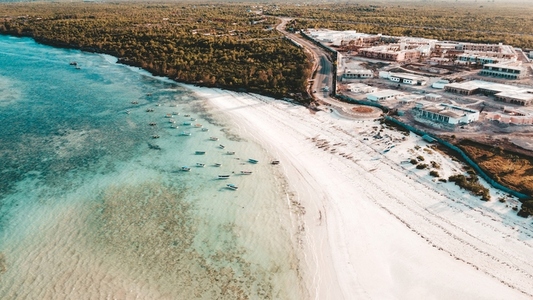 Zanzibar Island  Tanzania