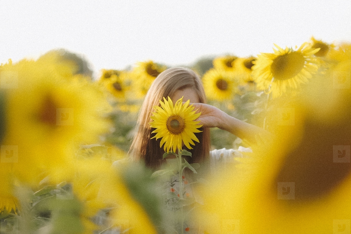 Portrait in summer sunflower fie