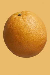 Close up dimples on vibrant whole orange