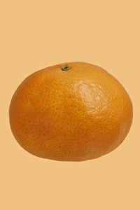 Close up dimples on vibrant orange tangerine