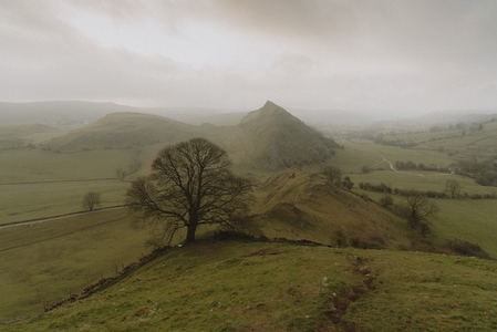 Scenic view tranquil green landscape