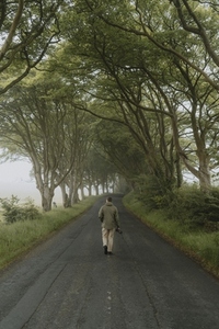 Man walking on tranquil