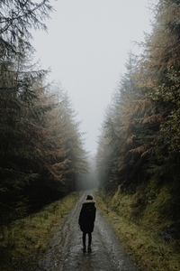 Female hiker standing on rainy wet road in remote autumn forest