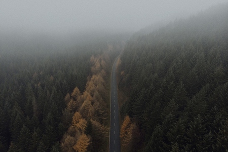 Aerial view road through autumn forest trees turning green to orange
