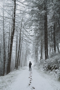 Man hiking on snow covered path below trees in winter woods 1