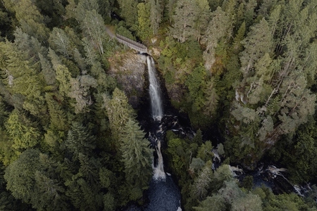 Aerial view waterfall among forest trees