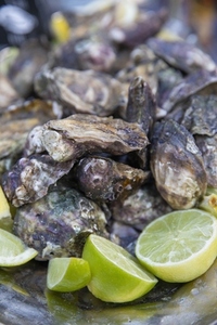 Close up fresh oyster shells and lime wedges