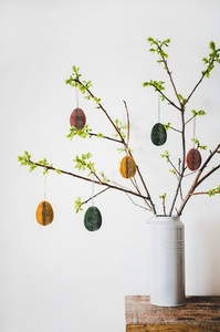 Easter holiday tree branches with festive eggs  white background