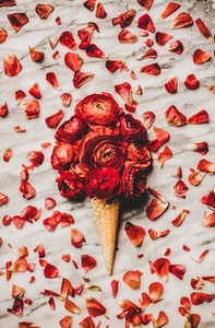 Waffle cone with scoop of ranunculus flowers over red petals