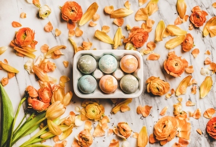 Colorful dyed Easter eggs over blossom orange flowers on marble