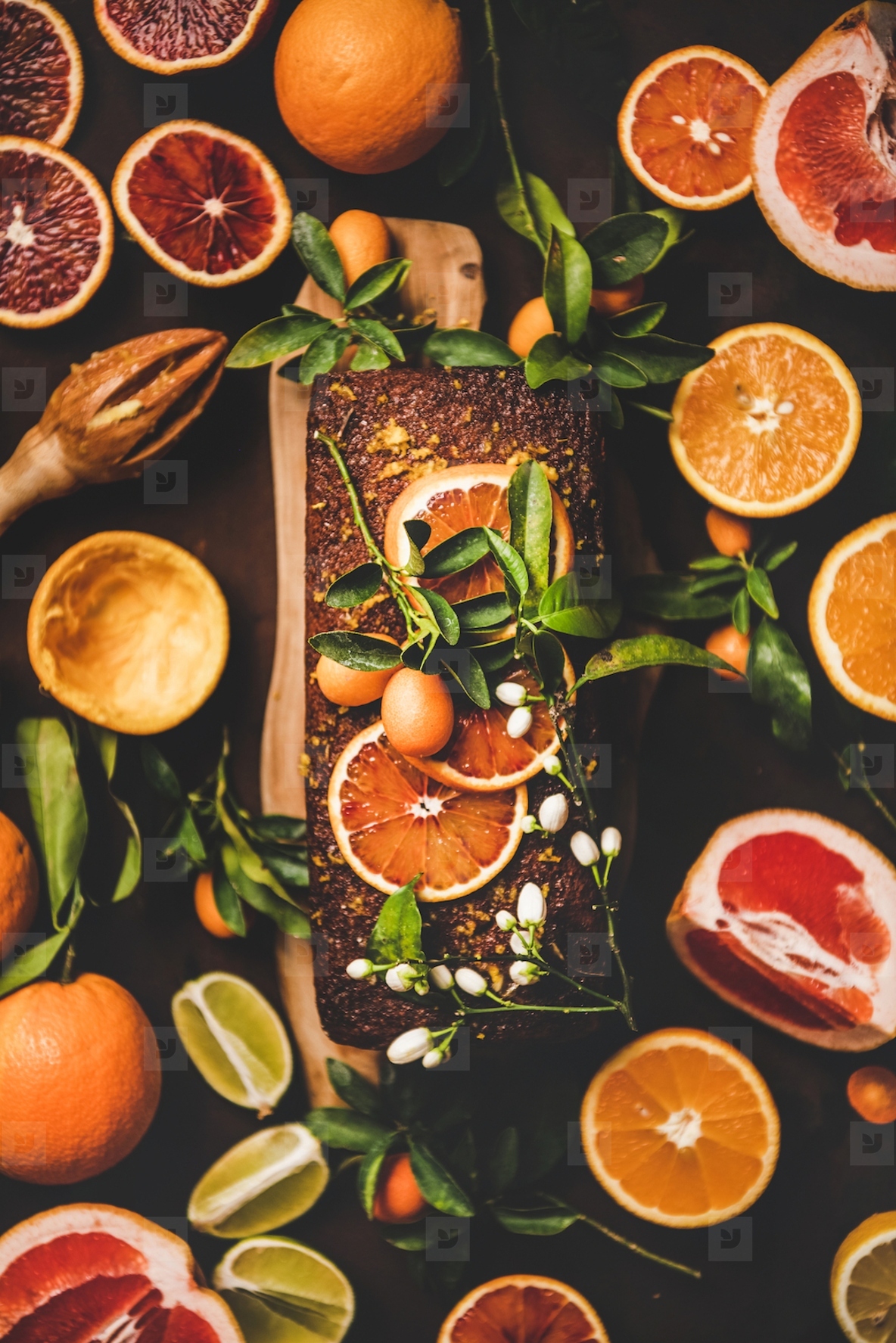 Citrus Mediterranean flourless vegan loaf cake with fresh fruits