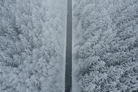 Aerial view snow covered trees along road 1