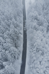 Aerial view snow covered trees along road 2
