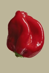 Close up red habanero pepper on beige background