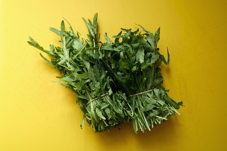 Still life bunches of green arugula on yellow background