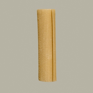 Close up raw rigatoni noodle on gray background