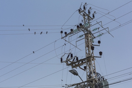 Birds perched on electricity pylon wires below blue sky