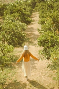 In the orange orchard