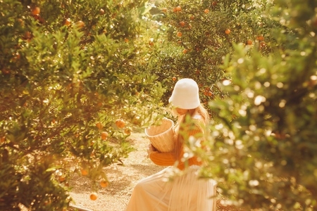 Lady in the orange orchard