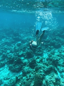 Woman swims underwater near a coral reef
