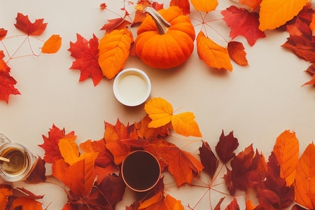 Top view of autumn pumpkins and dried leaves with tea in flat la