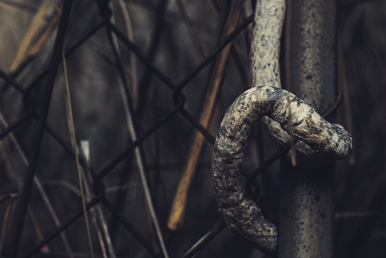 Moody nature background of a fence covering by nature