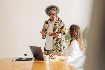 Two businesswomen having a discussion in a meeting room