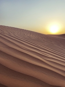 Desert dunes with patterns at sunset