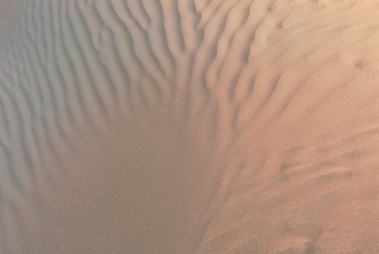 Pattern on dune in desert at sunset