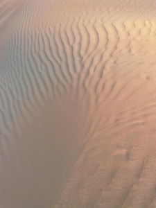 Pattern on dune in desert at sunset