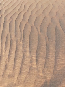 Natural pattern on a desert sand