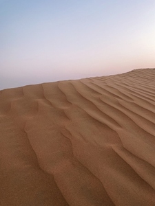 Dune in desert against sunset