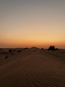Beautiful sunset above desert dunes