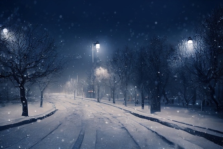 Landscape of snow winter with street light background at night
