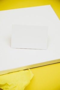 Product image of a blank card against a yellow background