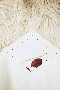 Romantic and cozy image of a dried leaf in a retro envelope