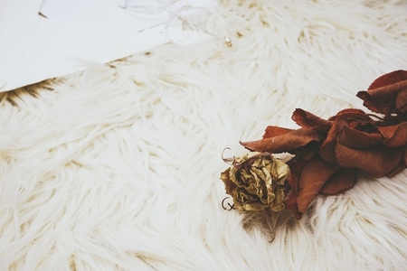 Background of a dried rose over a soft carpet near a vintage env